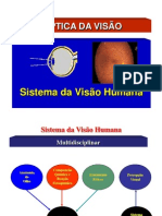 Aula de ÓPTICA DA VISÃO PDF