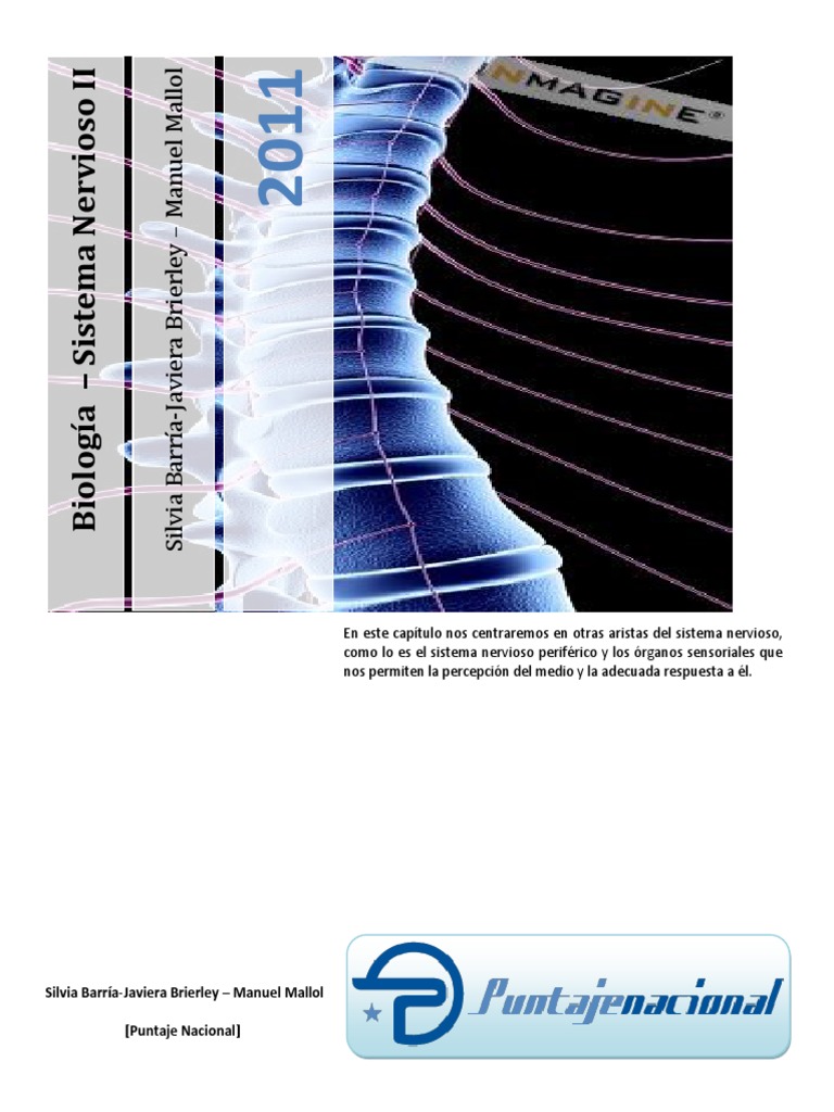 Sistema Nervioso Ii Pdf Pdf