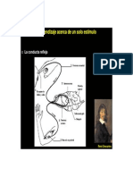 Habituacion y Sensibilizacion PDF