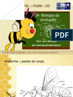 III-Biologia-da-produção.ppt