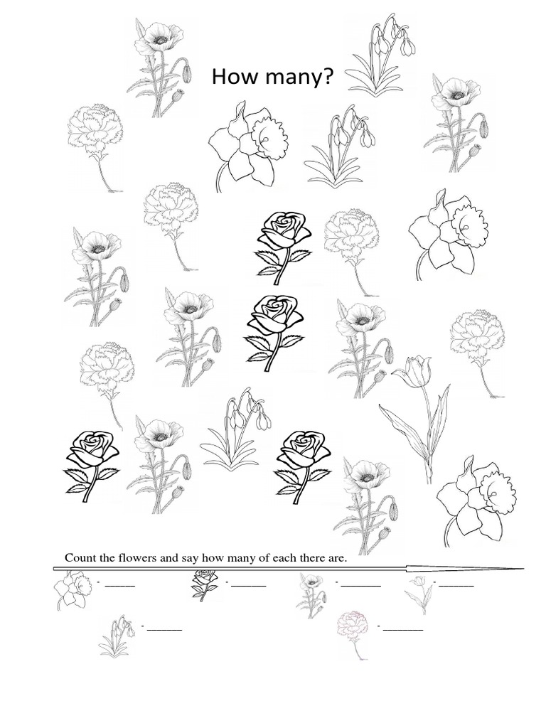 How Many?: Count The Flowers and Say How Many of Each There Are | PDF ...