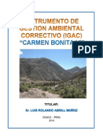 Igac Carmen Bonita Vi PDF