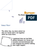 VB_Muscle_BURSAE_081814.pdf