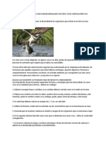 Estrategias y Adaptaciones Que Han Desarrollado Los Seres Vivos Con Relación A Su Nutrición