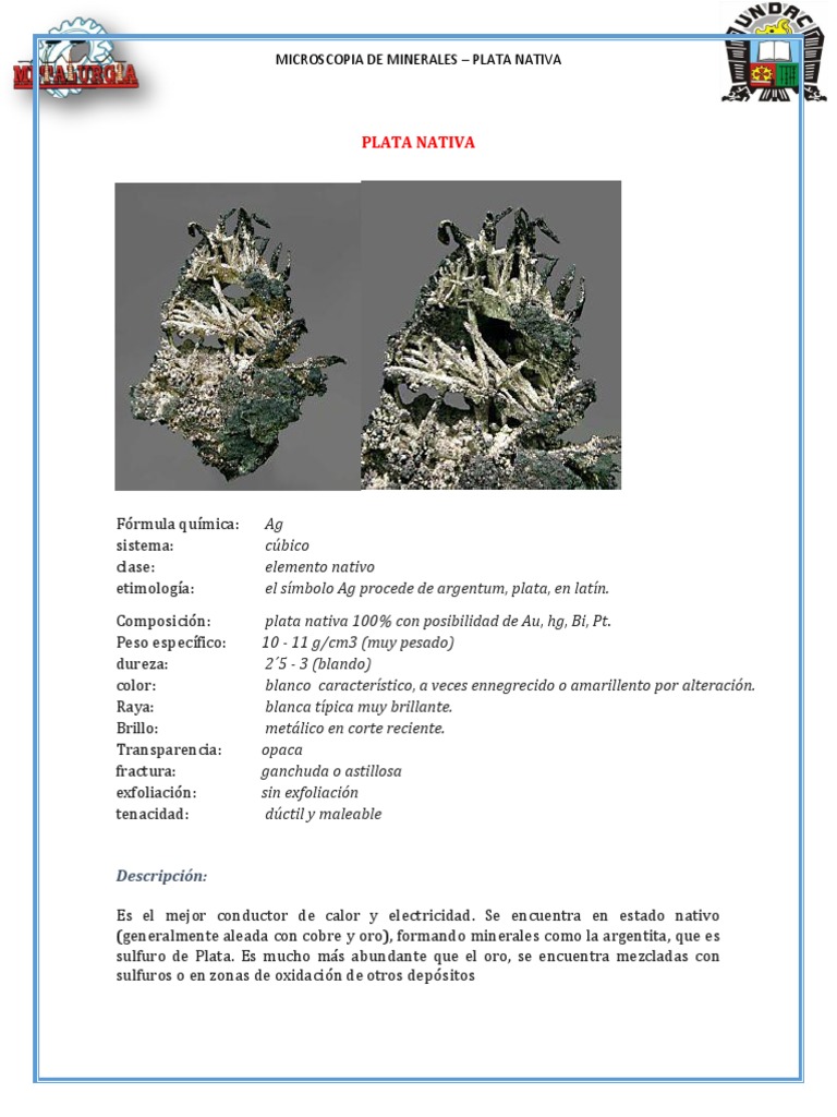PLATA NATIVA.docx Plata Minería