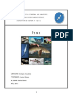 peces.pdf