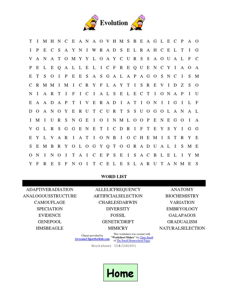 Evolution Word Search Worksheet | PDF