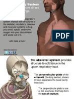 Atlas_RespiratorySystem112613.pdf