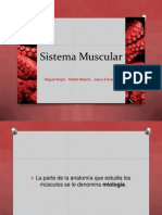 Sistema Muscular.pptx