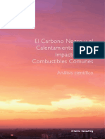 carbono_negro.pdf