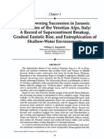 03 - The Drowning Succession in Jurassic Carbonates of The Venetian Alps, Italy - A Record of Superc2 PDF