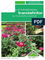 sfaturi-pentru-plantarea-si-intretinerea-trandafirilor_file_26.pdf
