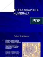 PERIARTRITA SCAPULO-HUMERALA - ppt9