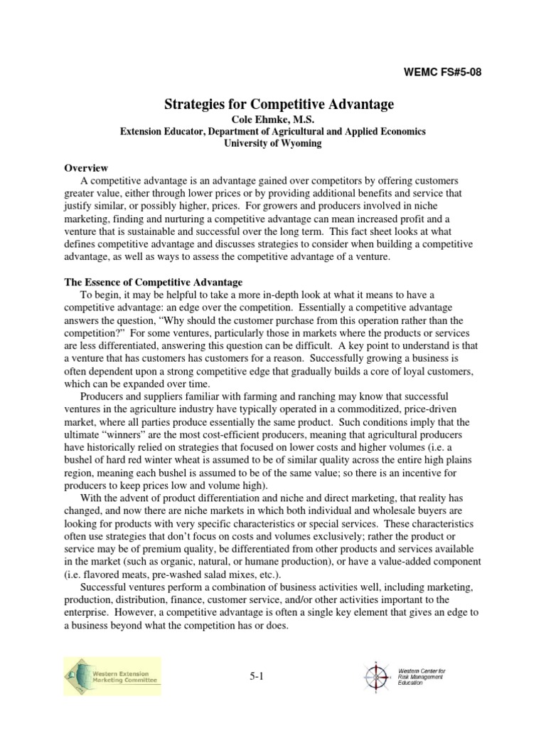 05 Competitive Advantage | PDF