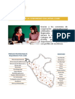 perfiles_y_regiones_COARv3.pdf
