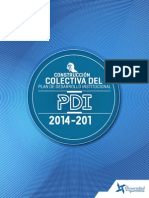 Borrador PDI PDF