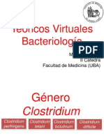 Teorico Virtual Bacteriología PDF