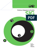 Manual Sig PDF