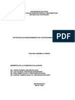 jaramillo_p.pdf