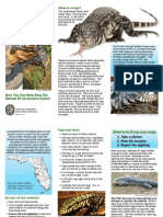 Tegu Brochure