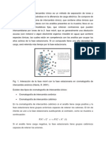 Fundamentos Cromatografía de Intercambio Iónico