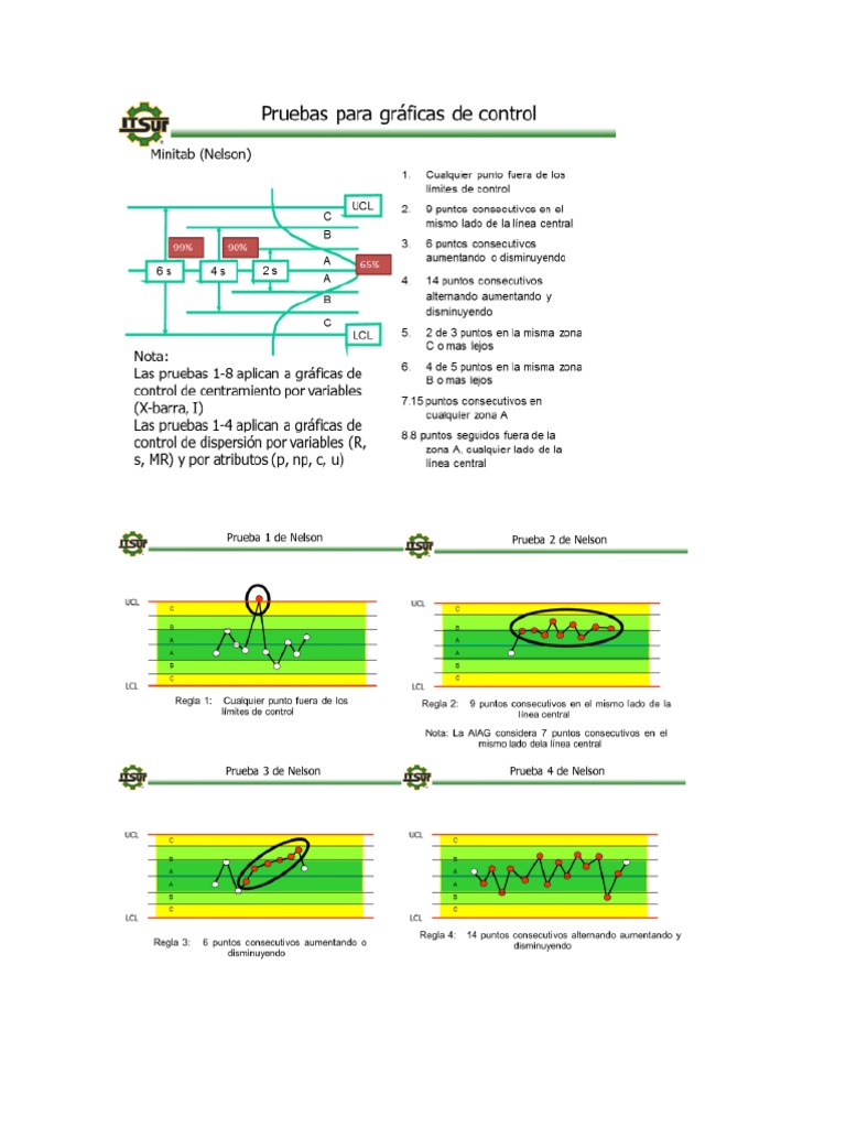 Pruebas de Nelson | PDF