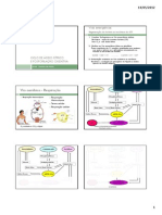 Ciclo de Krebs e Cadeia Respiratória