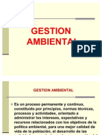 45205824-GESTION-AMBIENTAL