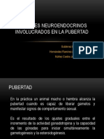 Factores Neuroendocrinos Involucrados en La Pubertad