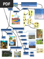 Mapa Conceptual Sobre Los Tipos de Ecosistemas | PDF | Tecnología