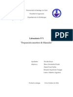 INF 1 CONCENTRA.docx