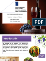 Cultivos Iniciadores Del Vino