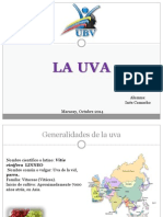 La Uva