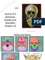 Head and Neck Anatomy Lecture # 3 Sphenoid, Maxilla and Mandible