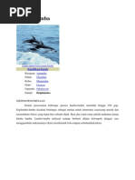 Download sistem pencernaan lumba lumbadocx by cleooptr SN244848520 doc pdf
