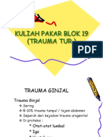 Trauma Ginjal