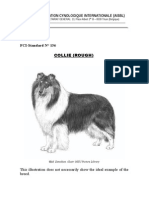 Collie (Rough) : Federation Cynologique Internationale (Aisbl)