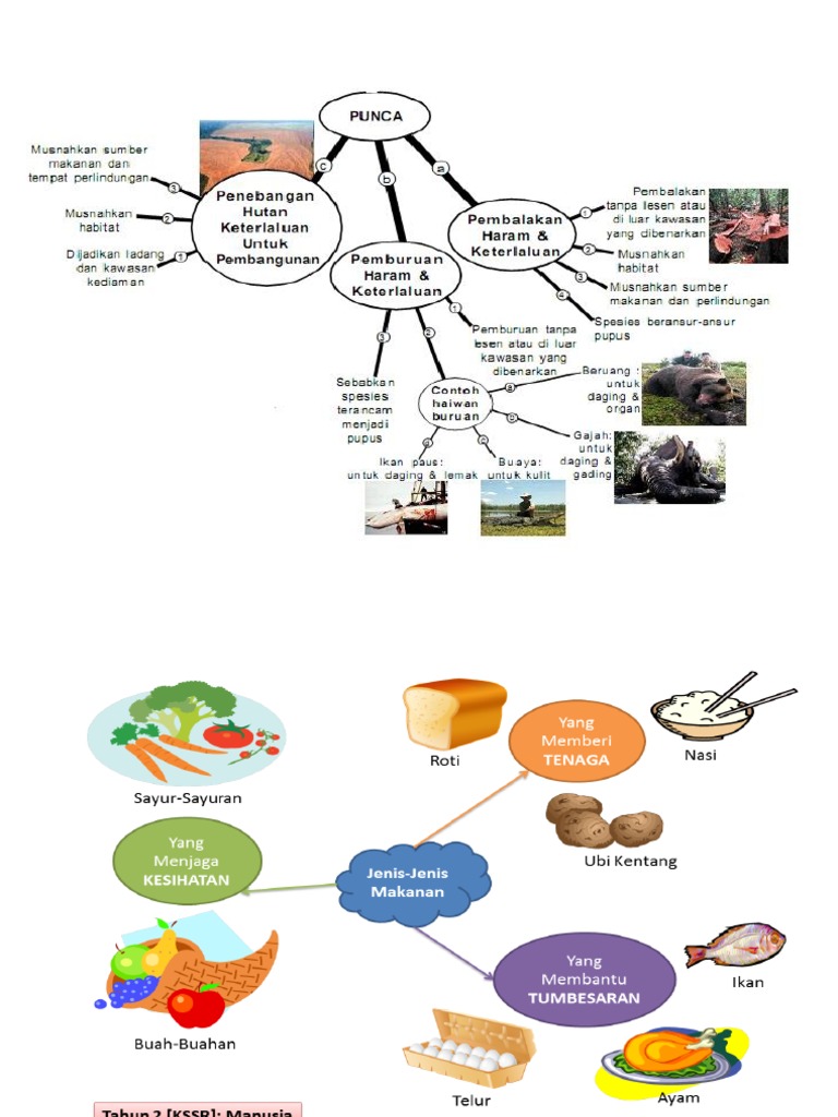 Contoh Peta Minda Pdf