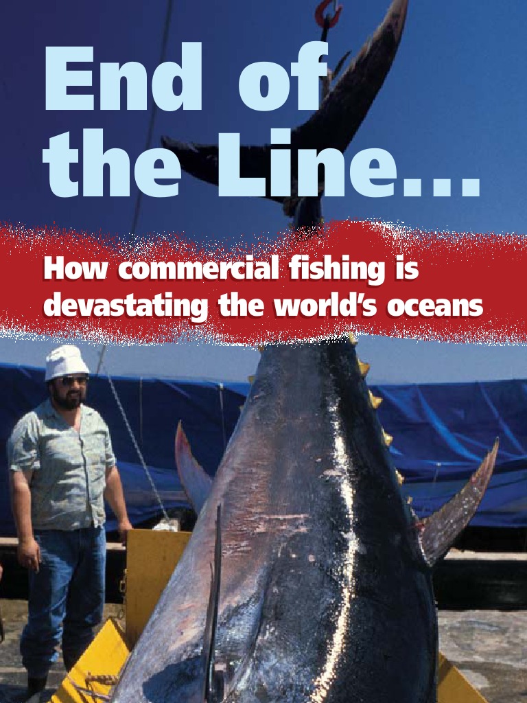 End of The Line: Stop Eating Fish | PDF | Sea | Tuna
