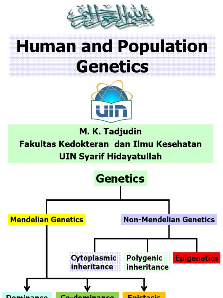 Population Genetics2 PDF | PDF | Dominance (Genetics) | Allele