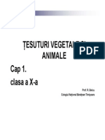 TESUTURI Vegetale Si Animale