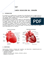 Practica Corazon