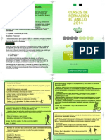 Diptico Anillo Formacion