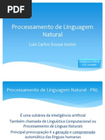 Processamento de Linguagem Natural