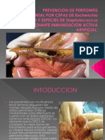 Prevencion de Peritonitis Experimental Por Cepas de Escherichia