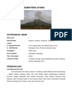 184593650-Sinabung.pdf