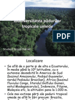 Biodiversitatea Pădurilor Tropicale Umede