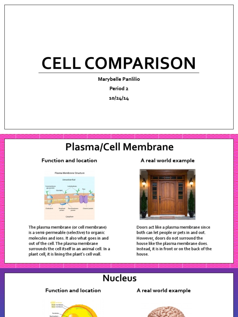 cell comparison | Vacuole | Cell (Biology)