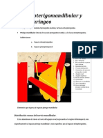 Espacio Pterigomandibular y Pterigofaringeo PDF