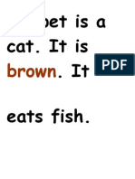 My Brown Cat Loves Fish